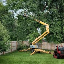 Best Commercial Tree Services  in Firebaugh, CA